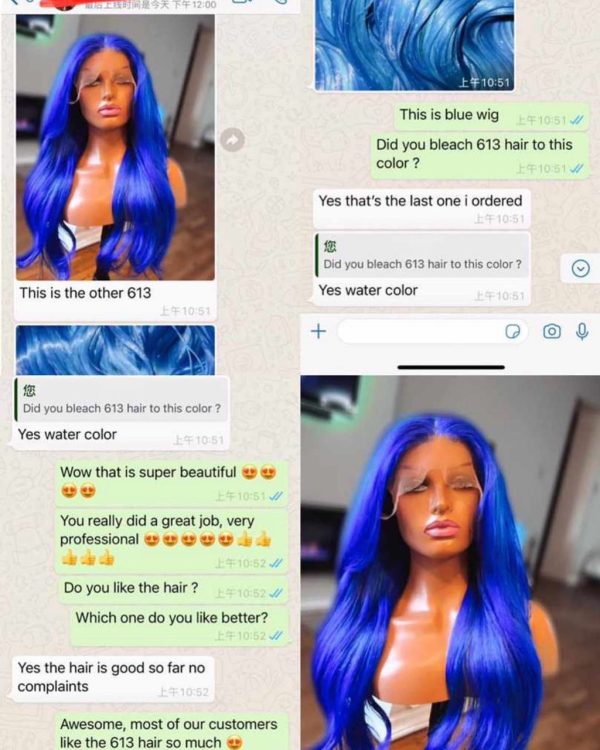 613 Blonde Color Preplucked HD Wig